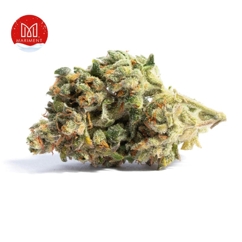 Acapulco Gold