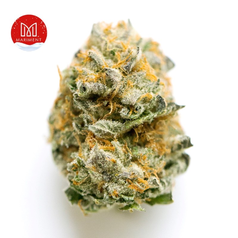 All Time High Weed Strain