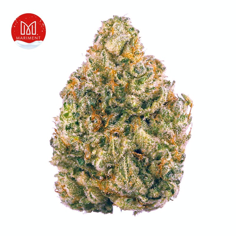 AK-47 Weed Strain