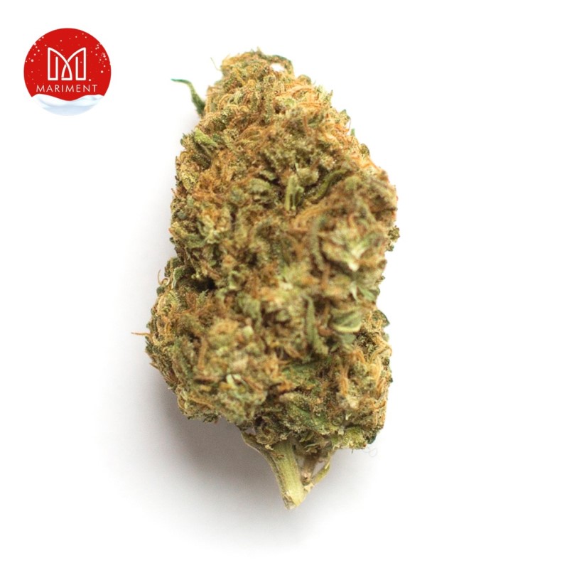 Banana Zkittlez Hybrid weed strain