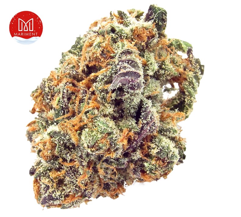 Mimosa Weed Strain